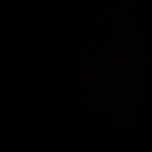 Meet your Posher, Feven